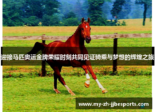 迎接马匹奥运金牌荣耀时刻共同见证骑乘与梦想的辉煌之旅