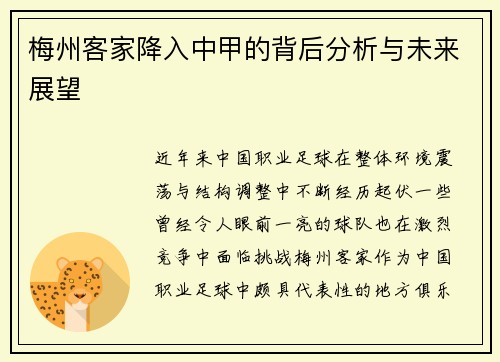 梅州客家降入中甲的背后分析与未来展望